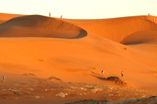 Delegates on Dune in Namibia