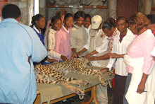Girls with cheetah