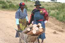 Women with firewood